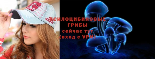стафф Краснотурьинск