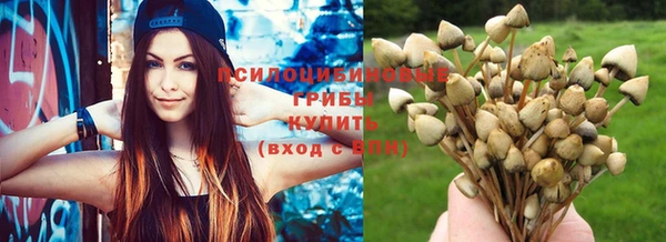 стафф Краснотурьинск