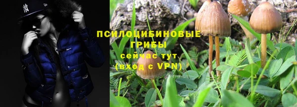 стафф Краснотурьинск