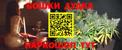 тгк Обь